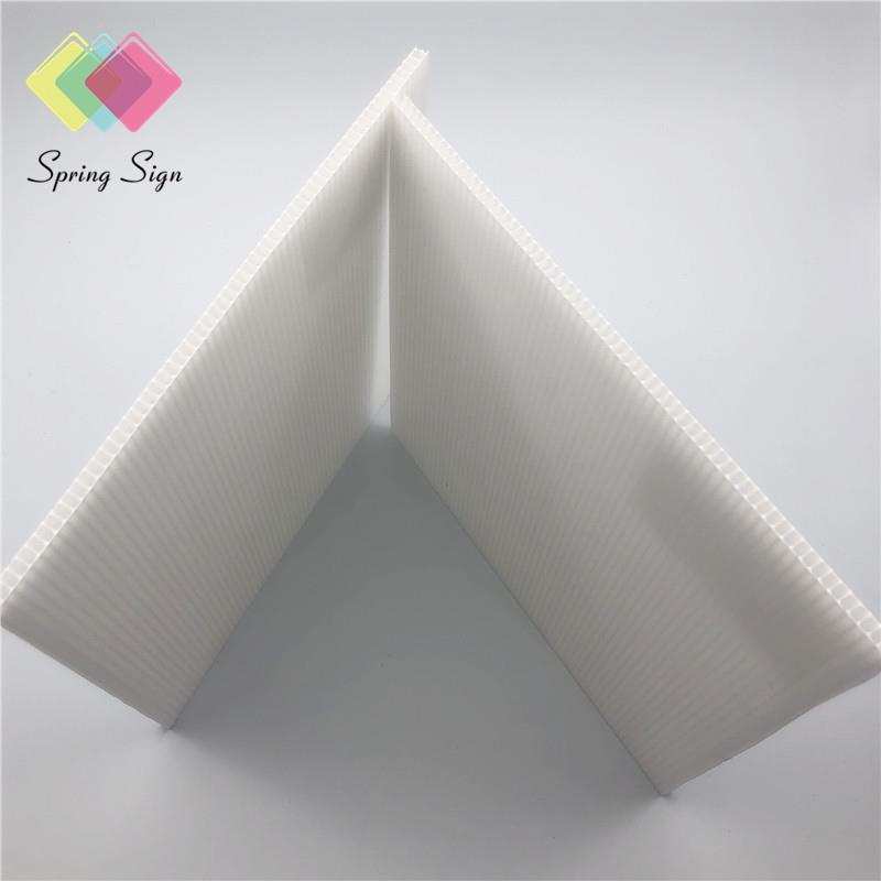 white pp (3)