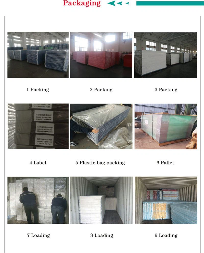 PP hollow sheet (8) PP hollow sheet (8)