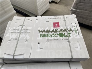 PP Correx Corrugated Box