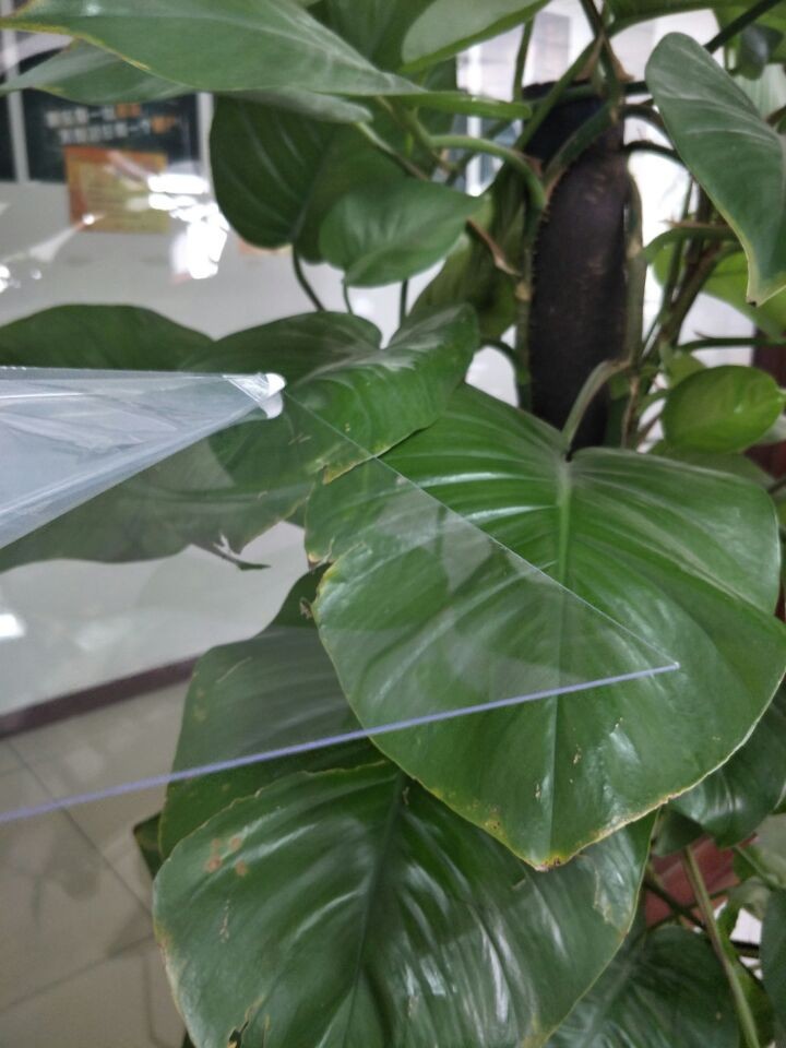 PVC Rigid Transparent Clear Sheet